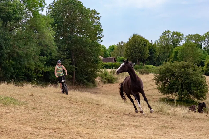 Client en trottinette électrique tout-terrain accompagnant un cheval au galop lors d'une sortie nature dans le Perche.