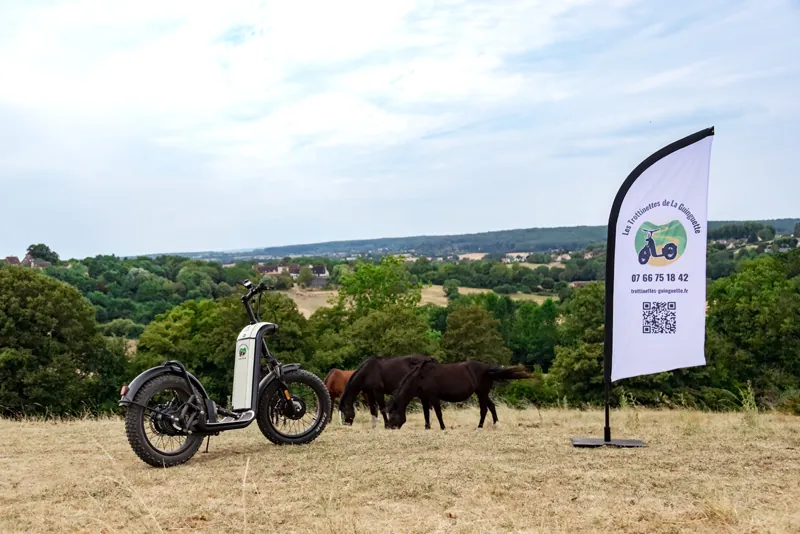 Vue panoramique sur les collines du Perche et Bellême avec chevaux, trottinette électrique au premier plan.